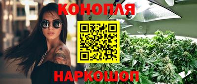 трава Партизанск