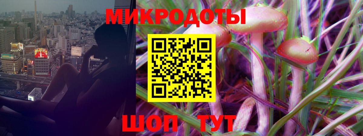 Сокол  Псилоцибиновые грибы GOLDEN TEACHER  Вход с VPN  дарнет шоп  Псилоцибиновые грибы ЛСД 