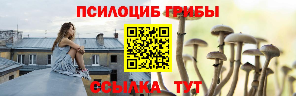 Галлюциногенные грибы GOLDEN TEACHER Сокол